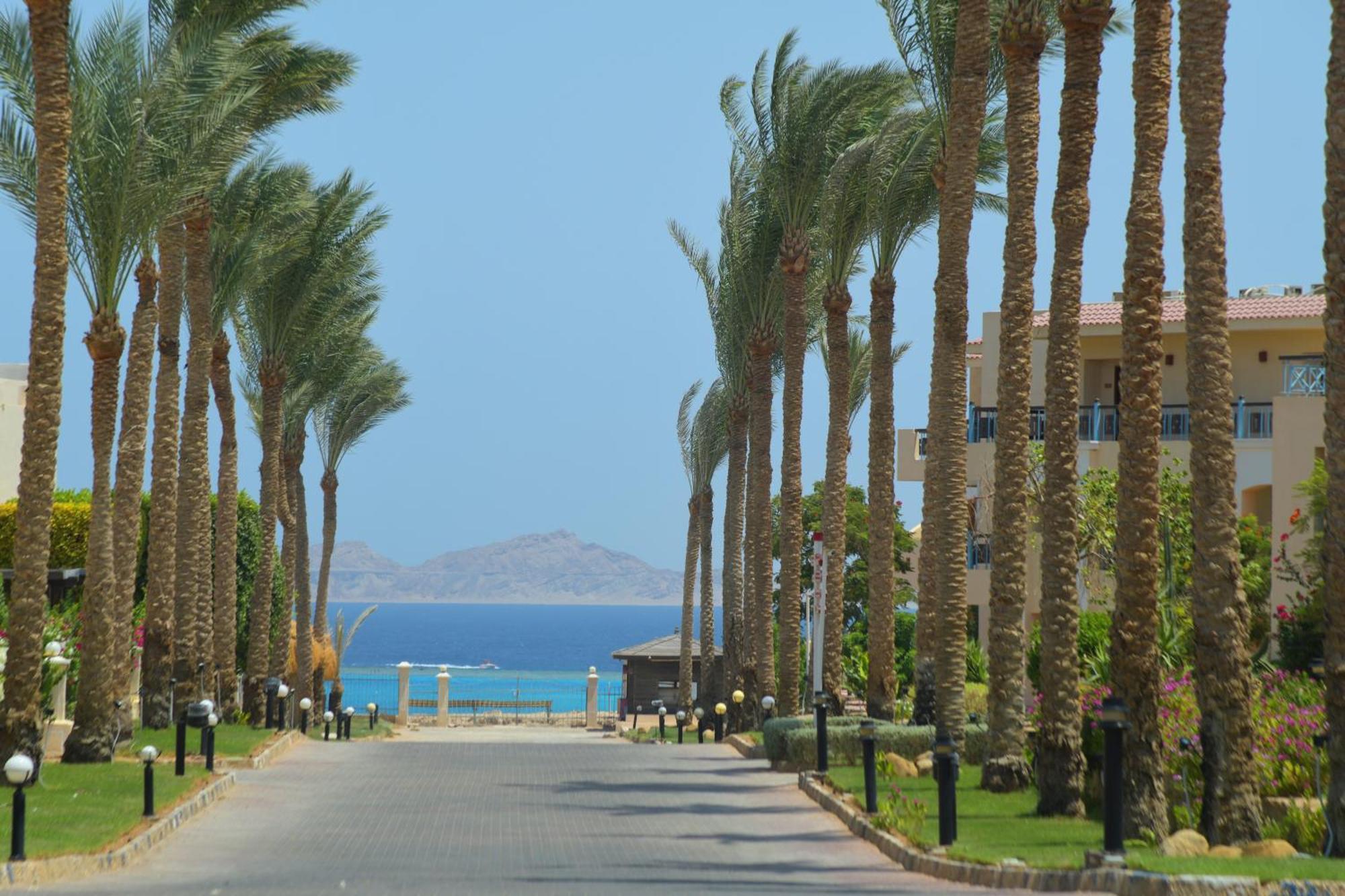 Ivy Cyrene Sharm Resort Adults Friendly Plus 13 Kültér fotó